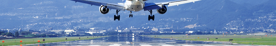 納入実績：空港イメージ
